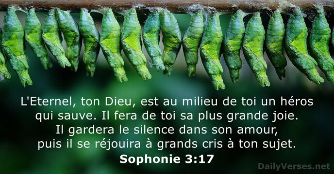 Sophonie 3:17