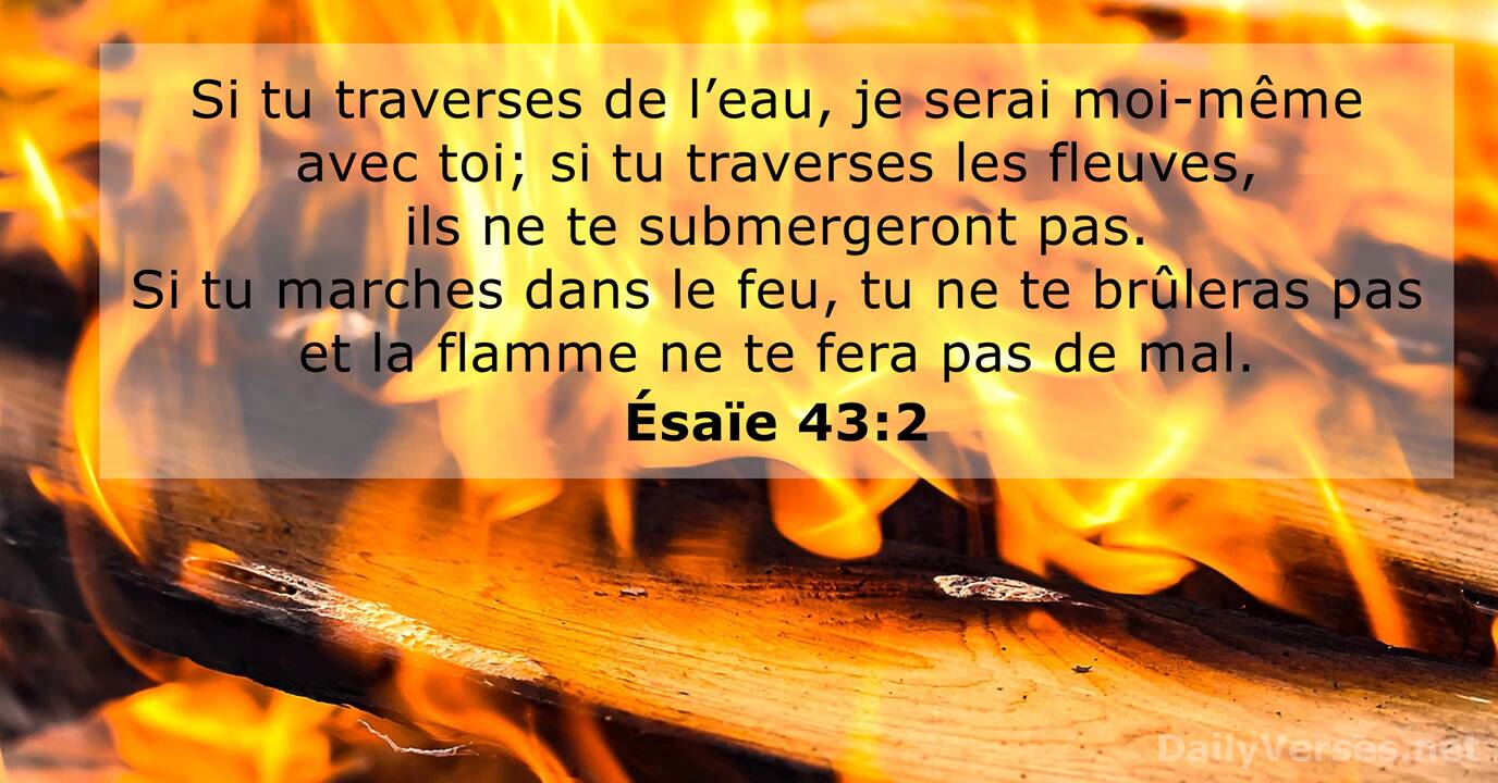  sa e 43 DailyVerses