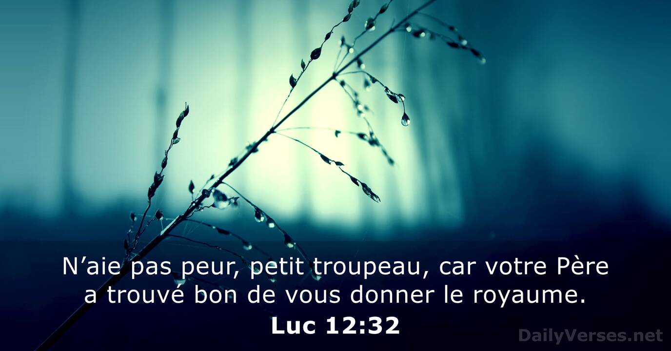 21 Ao t 2022 Verset Biblique Du Jour Luc 12 32 DailyVerses