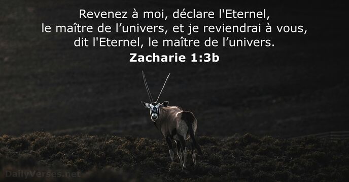 Revenez à moi, déclare l'Eternel, le maître de l’univers, et je reviendrai… Zacharie 1:3b