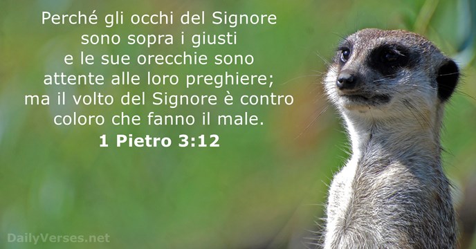 1 Pietro 3:12