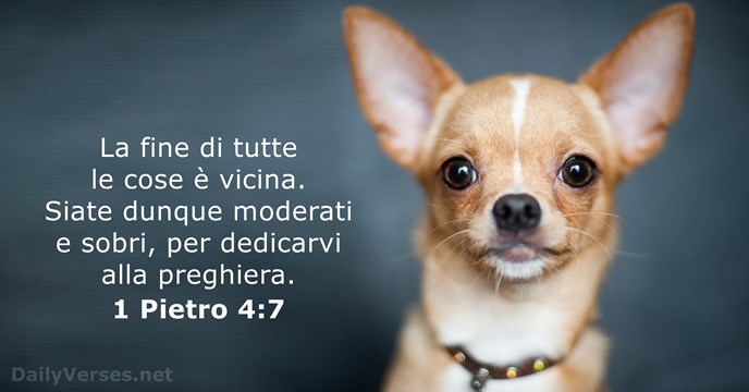 1 Pietro 4:7