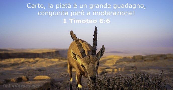 1 Timoteo 6:6