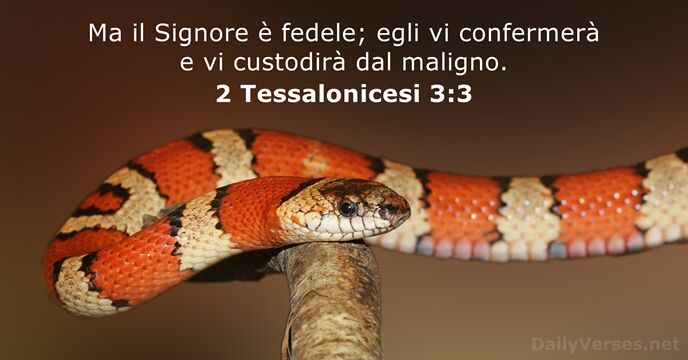 Ma il Signore è fedele; egli vi confermerà e vi custodirà dal maligno. 2 Tessalonicesi 3:3