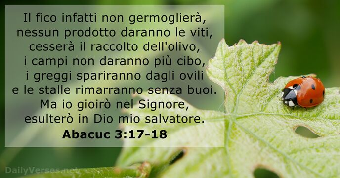 Il fico infatti non germoglierà, nessun prodotto daranno le viti, cesserà il… Abacuc 3:17-18