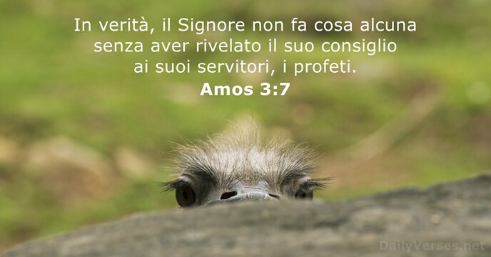 In verità, il Signore non fa cosa alcuna senza aver rivelato il… Amos 3:7