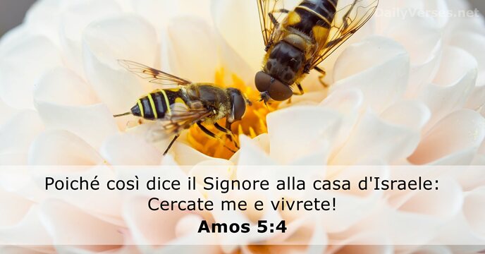 Poiché così dice il Signore alla casa d'Israele: Cercate me e vivrete! Amos 5:4