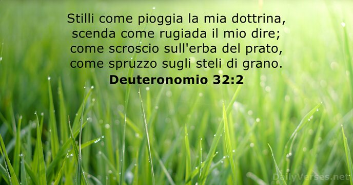 Stilli come pioggia la mia dottrina, scenda come rugiada il mio dire… Deuteronomio 32:2