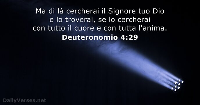 Deuteronomio 4:29