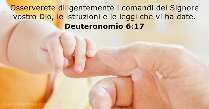 Deuteronomio 6:17