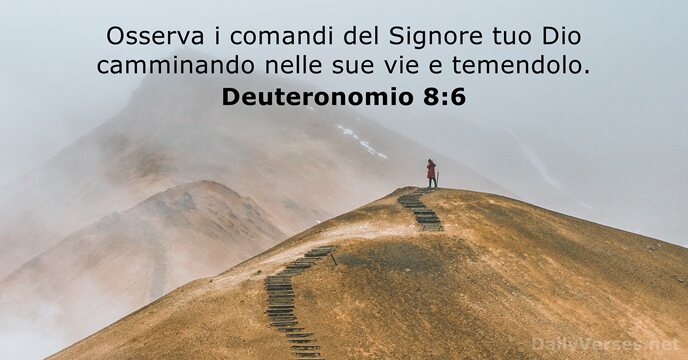 Osserva i comandi del Signore tuo Dio camminando nelle sue vie e temendolo. Deuteronomio 8:6