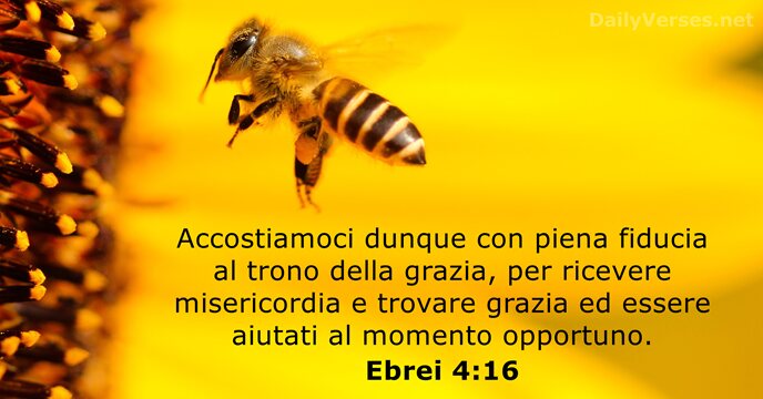 Accostiamoci dunque con piena fiducia al trono della grazia, per ricevere misericordia… Ebrei 4:16