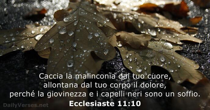 Ecclesiaste 11:10