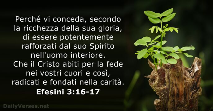 Efesini 3:16-17