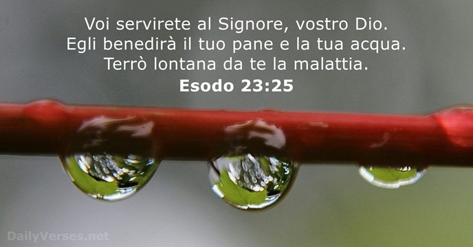 Esodo 23:25