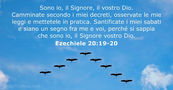 Sono io, il Signore, il vostro Dio. Camminate secondo i miei decreti… Ezechiele 20:19-20