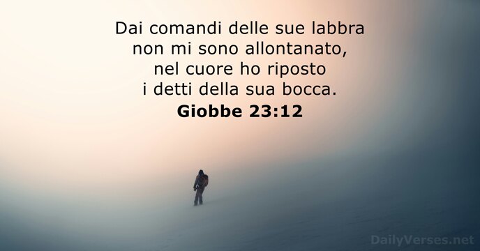 Giobbe 23:12