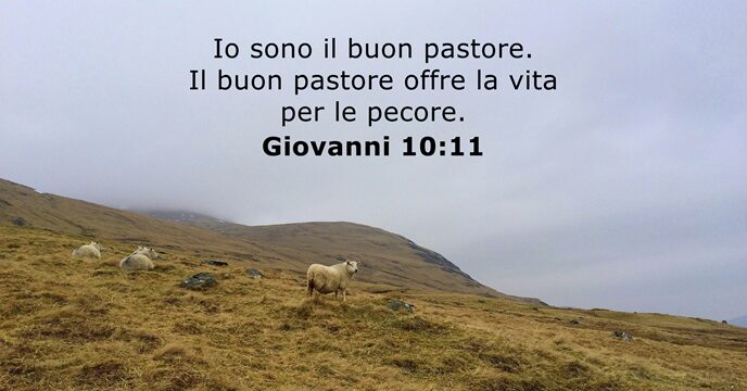 Giovanni 10:11