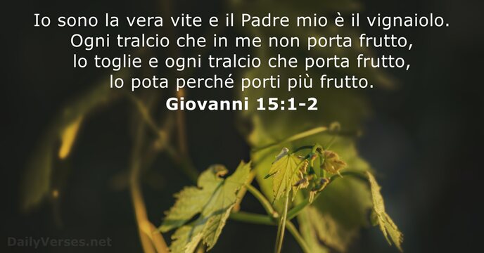 Giovanni 15:1-2