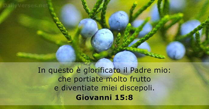 In questo è glorificato il Padre mio: che portiate molto frutto e… Giovanni 15:8
