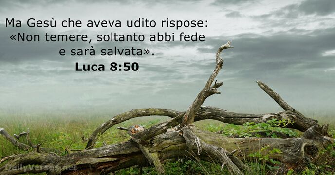 Luca 8:50