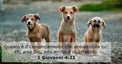 1 Giovanni 4:21