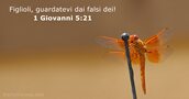 1 Giovanni 5:21