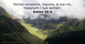 Salmi 25:4