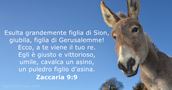 Zaccaria 9:9