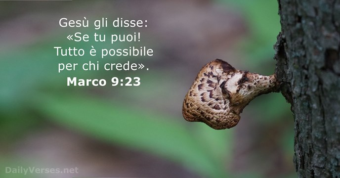 Marco 9:23