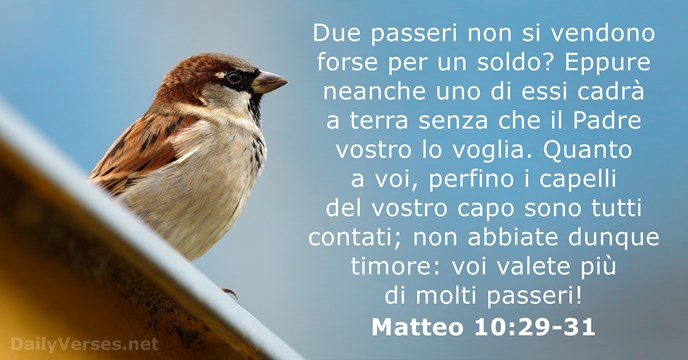 Matteo 10:29-31