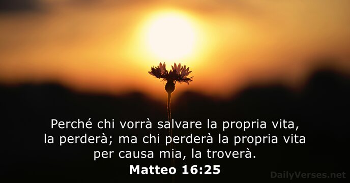 Matteo 16:25