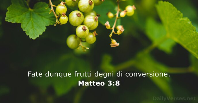 Fate dunque frutti degni di conversione. Matteo 3:8