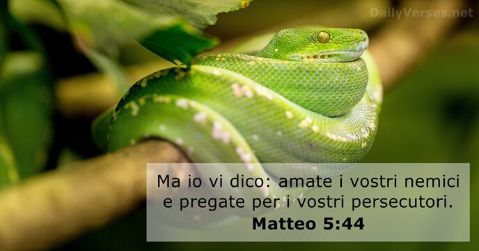 Matteo 5:44