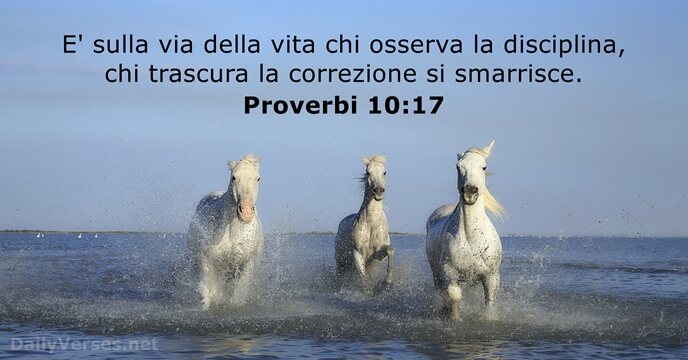 Proverbi 10:17