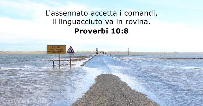 L'assennato accetta i comandi, il linguacciuto va in rovina. Proverbi 10:8