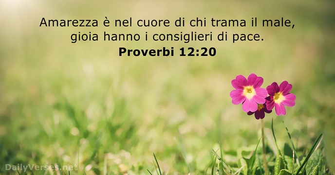 Proverbi 12:20