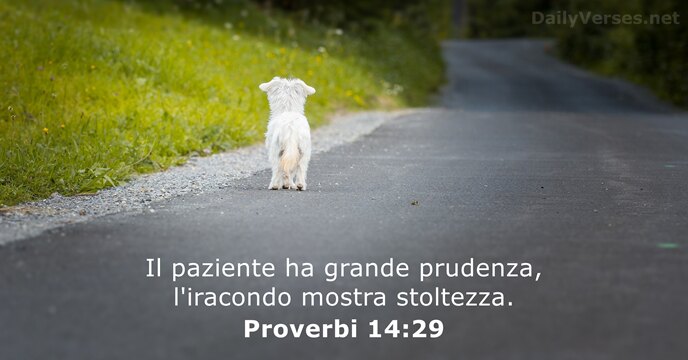 Proverbi 14:29