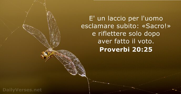 Proverbi 20:25