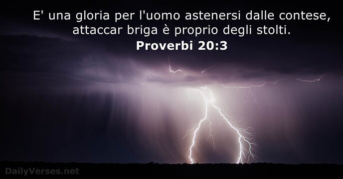 E' una gloria per l'uomo astenersi dalle contese, attaccar briga è proprio degli stolti. Proverbi 20:3