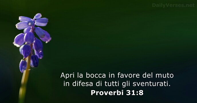 Proverbi 31:8