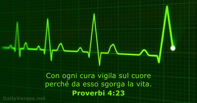 Con ogni cura vigila sul cuore perché da esso sgorga la vita. Proverbi 4:23