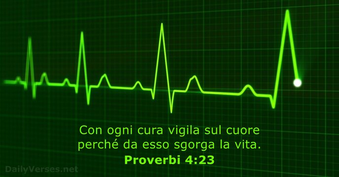 Con ogni cura vigila sul cuore perché da esso sgorga la vita. Proverbi 4:23