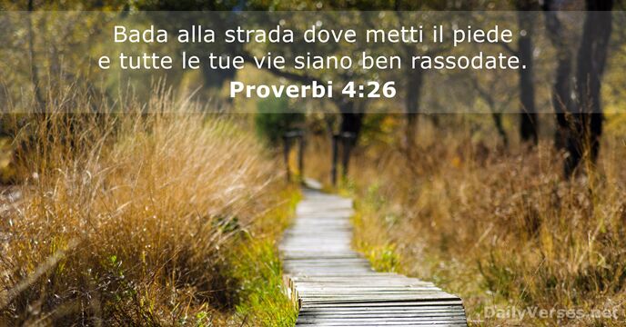 Bada alla strada dove metti il piede e tutte le tue vie… Proverbi 4:26