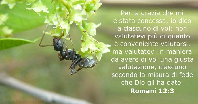 Romani 12:3