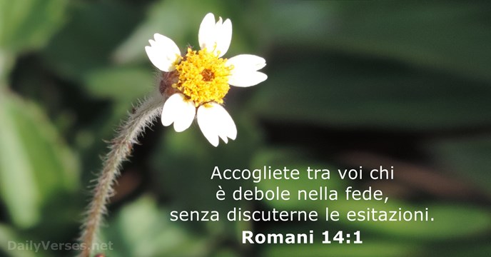 Romani 14:1