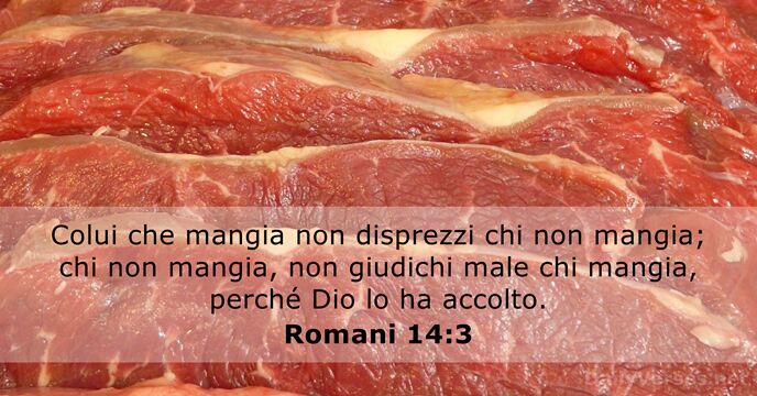 Romani 14:3