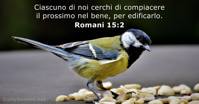 Romani 15:2