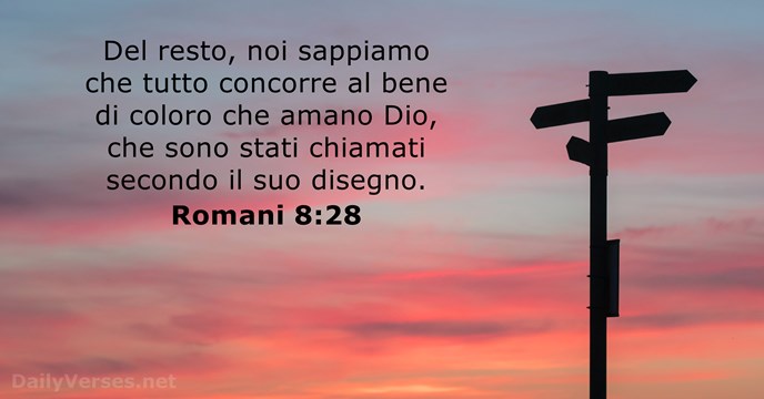 Romani 8:28