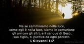 1 Giovanni 1:7